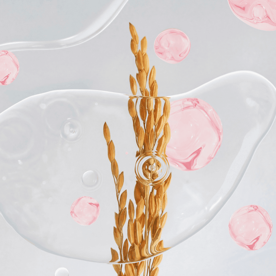 Work with us